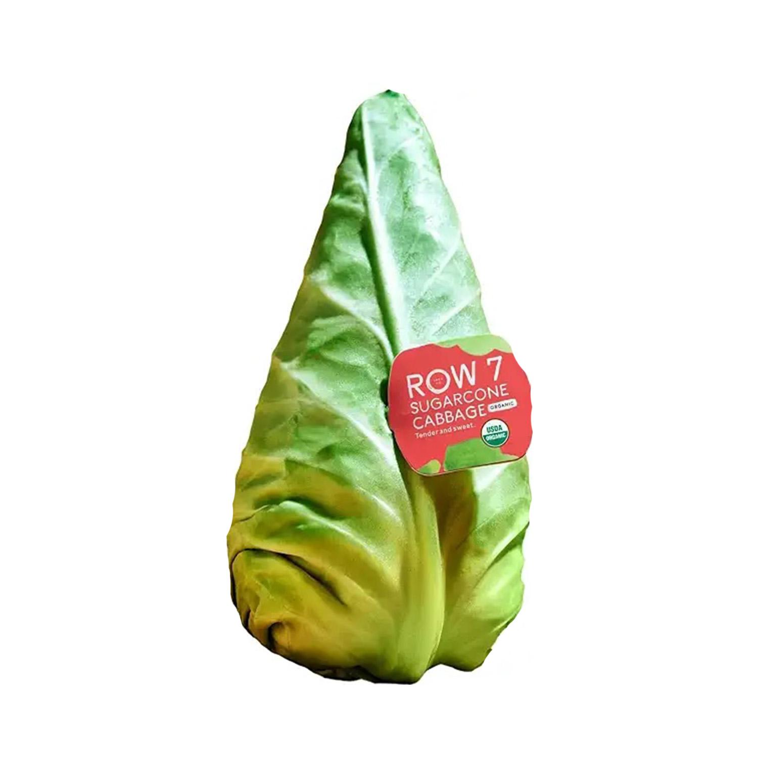 Organic Sugarcone Cabbage