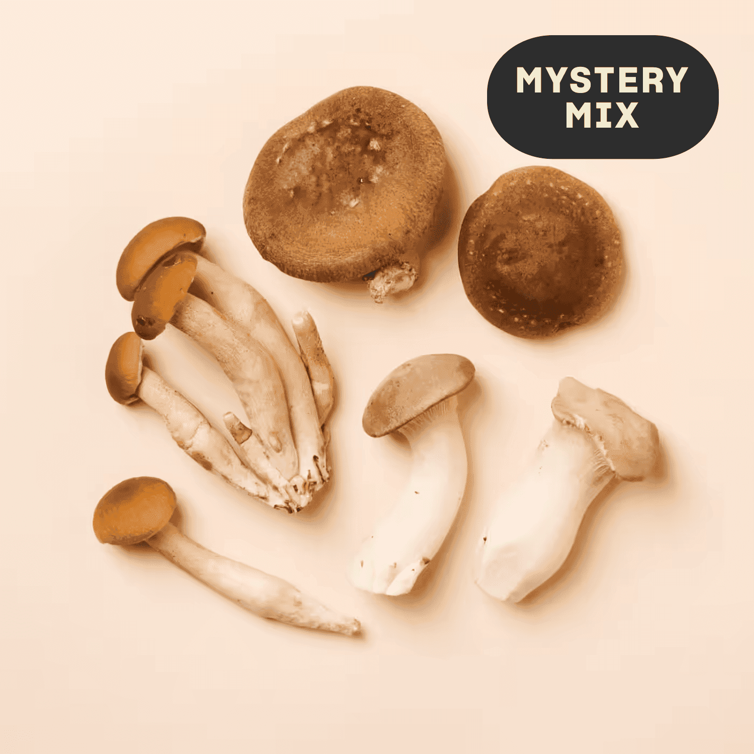 Organic Mystery Mushroom Sampler, 8 Oz