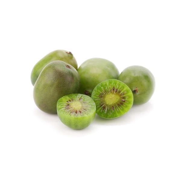 みどり　 120g 6個セット Zespri Organic Green Kiwifruit Same-Day Delivery or Pickup | Stew