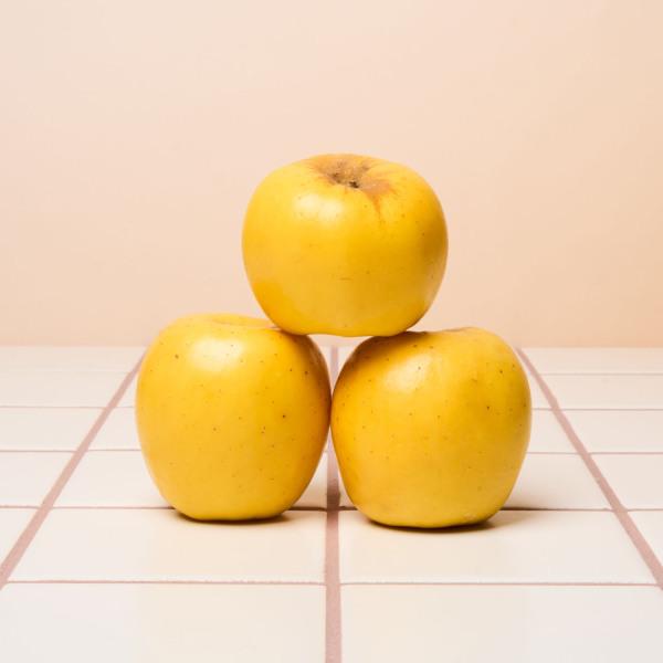 完売品/ATG2ndTourPoloWhite LサイAppleTreeGang Used Original Apple Lightning to 30-Pin Power Data & Audio Adapter