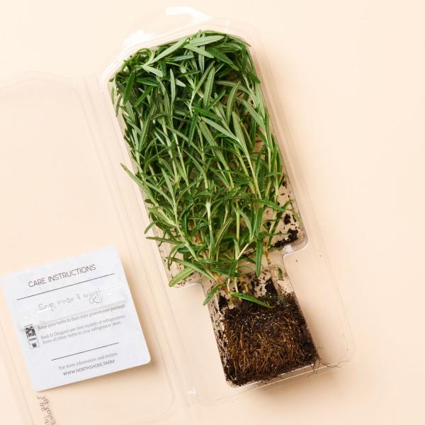 Get North Shore Living Organic Living Rosemary Delivered | Misfits
