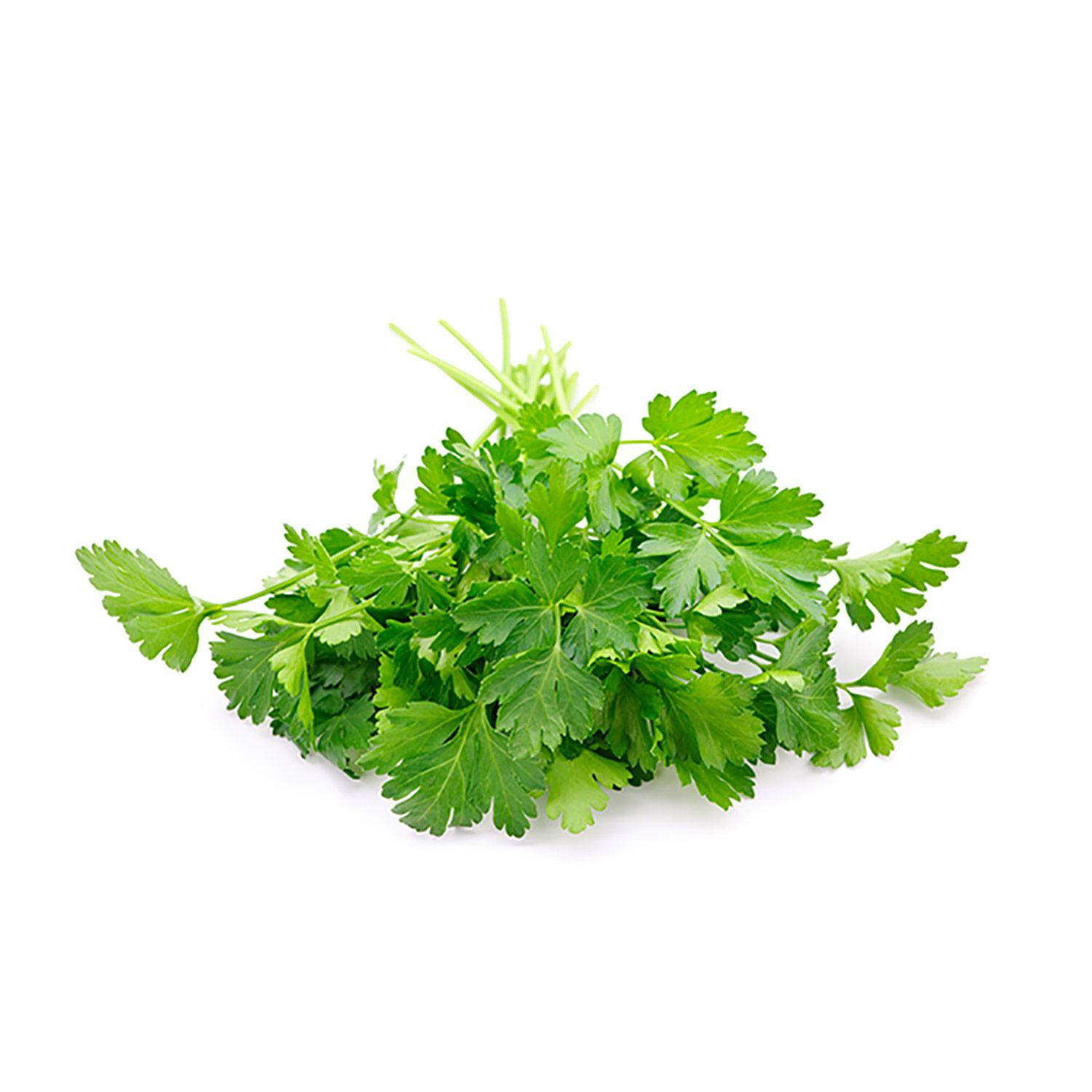 Organic Flat Leaf Parsley