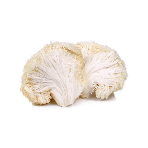 Super Duper Sugar Squishers - Mushroom – Tin Roof Gift Shop