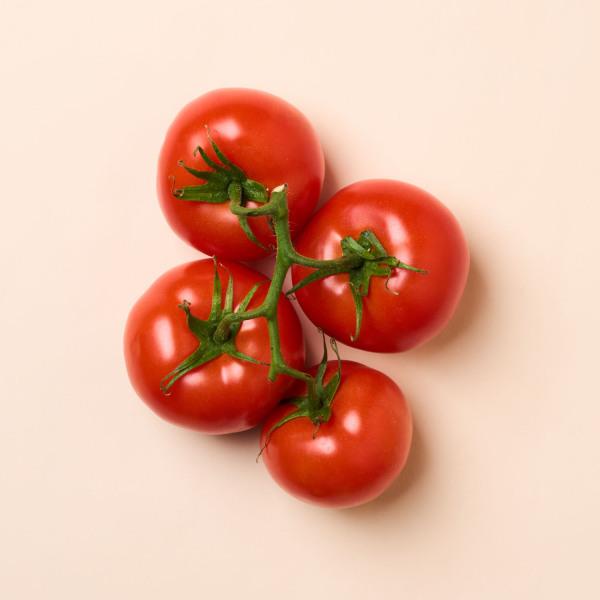 tomatoオーダーウィッグ Opalka Paste Tomato - Thresh Seed Co.