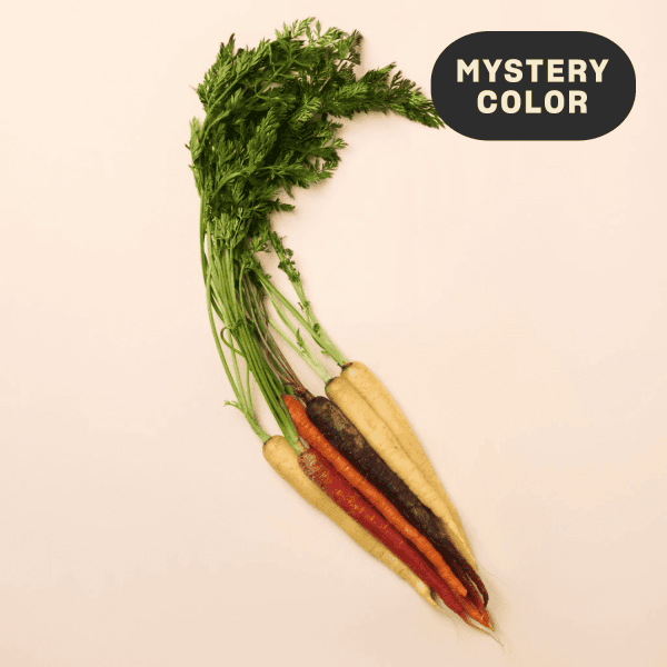 Get Organic Mystery Bunched Carrots Delivered | Misfits Market