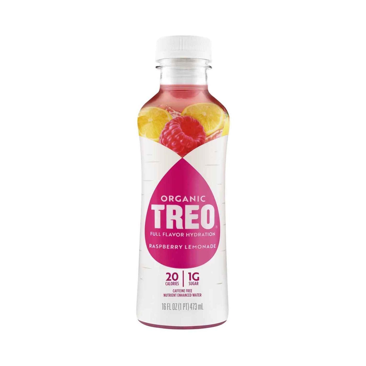 Hydration Drink, Raspberry Lemonade, 16 Fl Oz