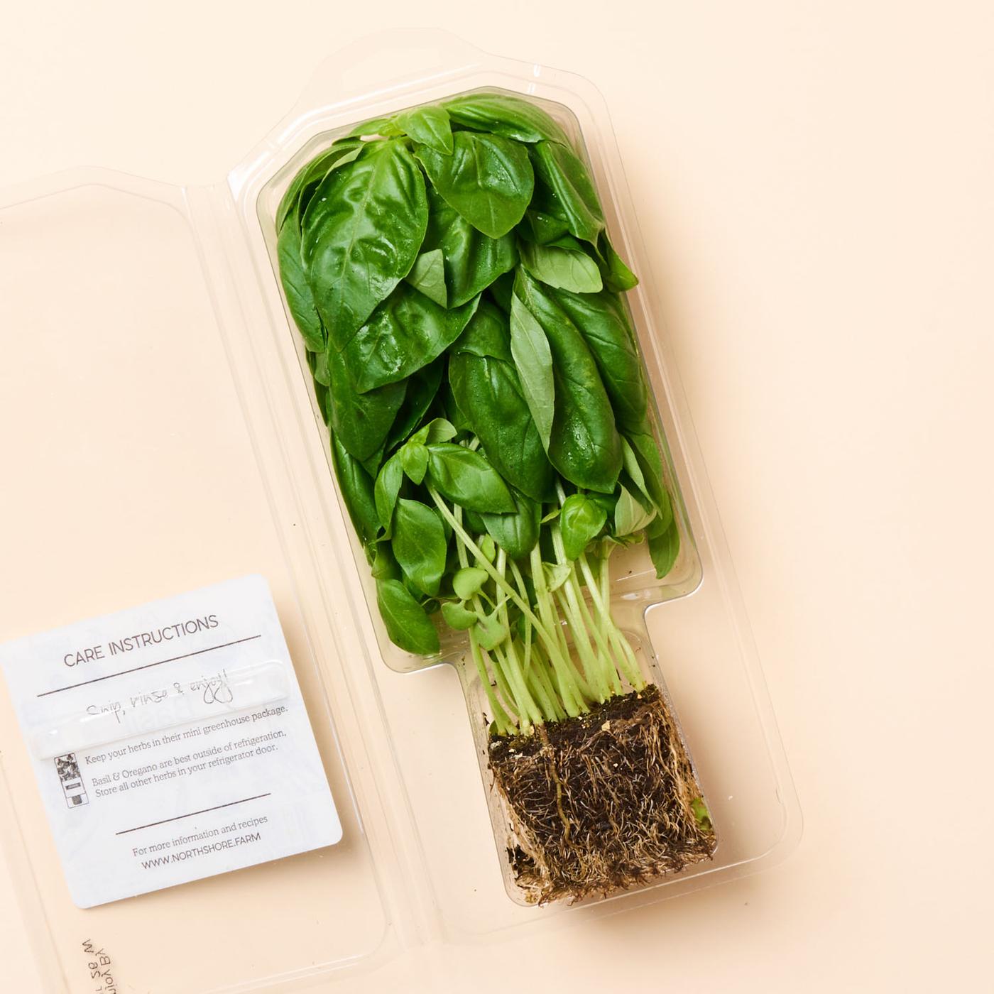 Get North Shore Living Organic Living Basil Delivered | Misfits Market Get North Shore Living Organic Living Basil Delivered | Misfits Market