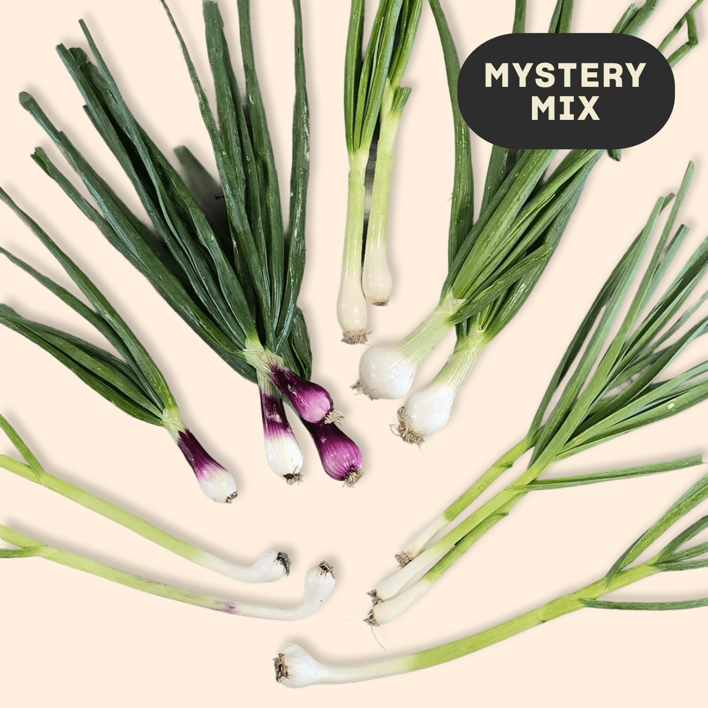 Get Organic Mystery Spring Alliums Delivered | Misfits Market