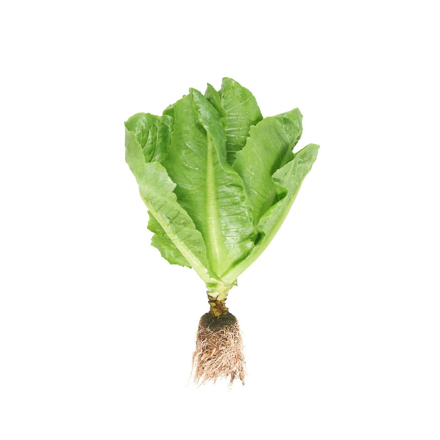 How Much is Misfit Market: Affordable Savings Uncovered!