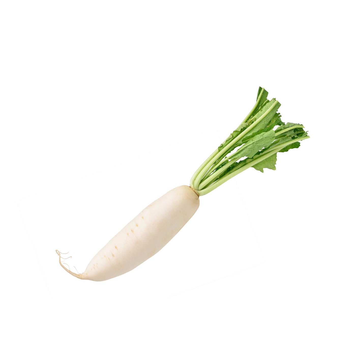 Daikon Daikon — Melissas Produce