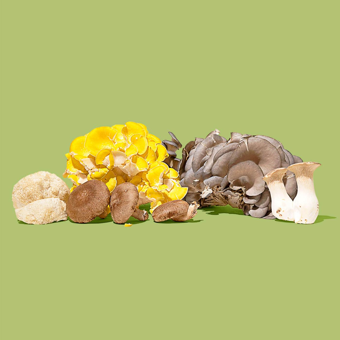Get Smallhold Organic Mystery Pack Mushrooms Delivered | Misfits