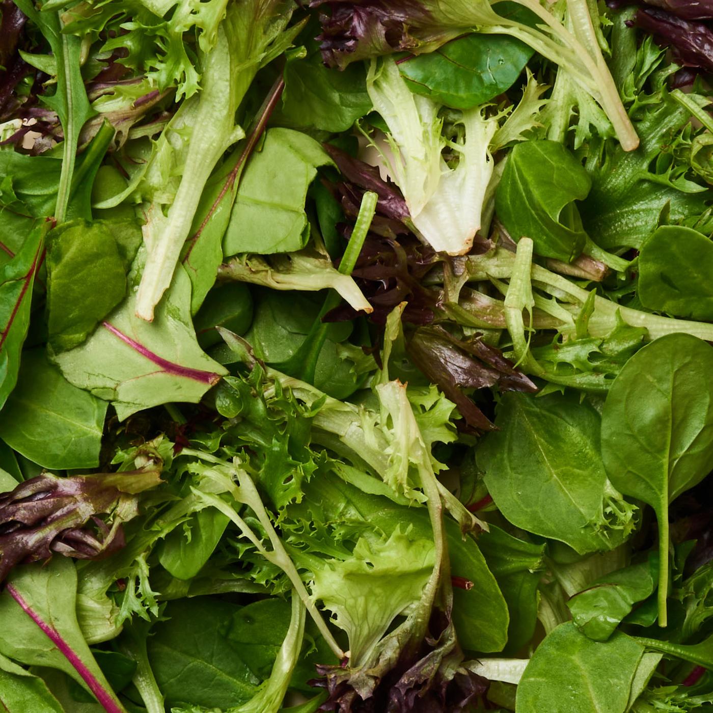 Fx Spring Mix Organic Spring Mix, 5 Oz