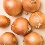 onion2‼️ Green Onion Regrower - ZestiGreens