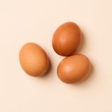 LiNDEN odd eggs リンデン　オッドエッグス　蓄光ver. 43007-12 Atlas Mike's Lunker Egg – Chartreuse | Atlas Mike's Bait