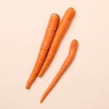 Get Organic Carrots Delivered | Misfits Market