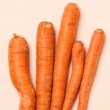 Carrots Get Organic Carrots Delivered | Misfits Market
