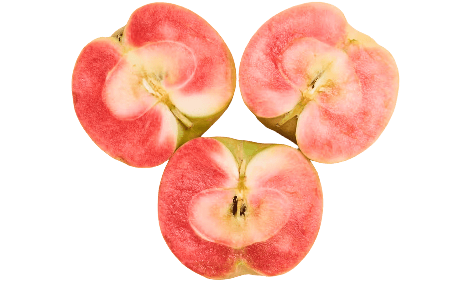 Three apple cross-sections with uniquely bright pink flesh on the inside.