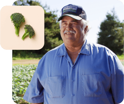Lakeside Organic Gardens broccoli tops