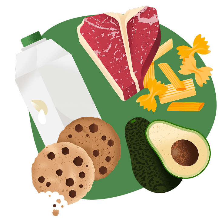 Illustration of meat, fruit, cookies, and dairy