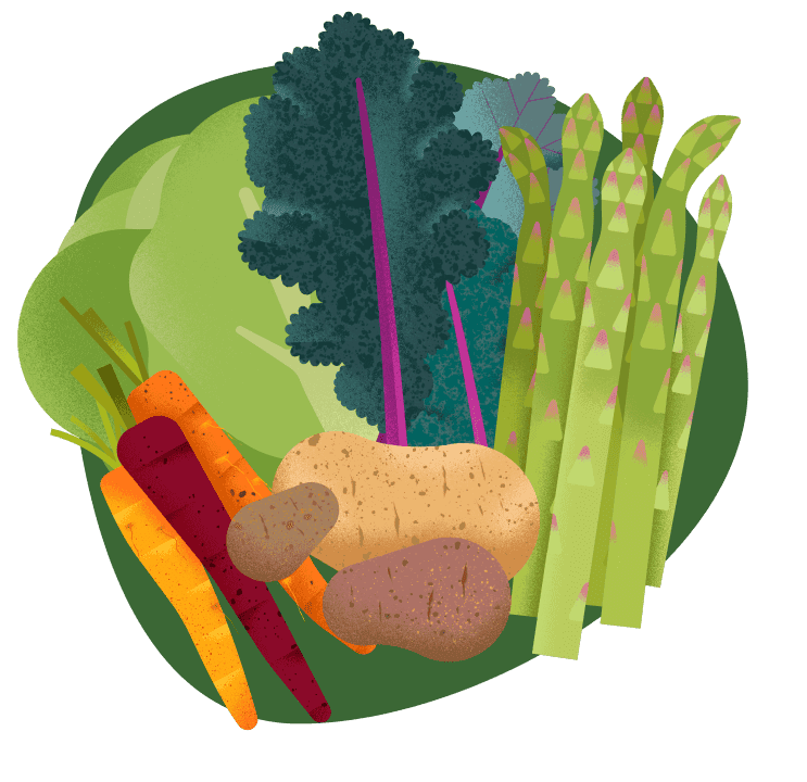Illustration of vegetables