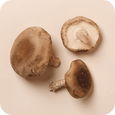 Shiitake mushrooms