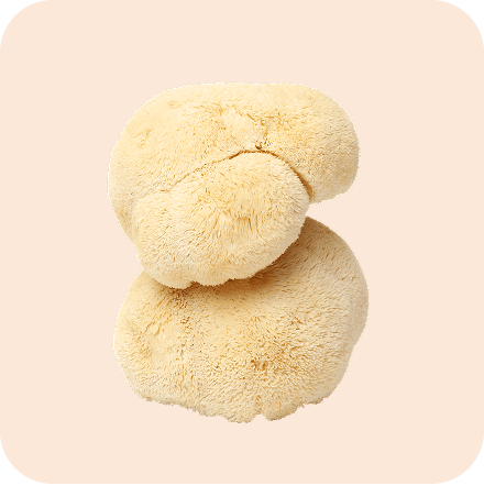 Image of Lion's Mane mushrooms