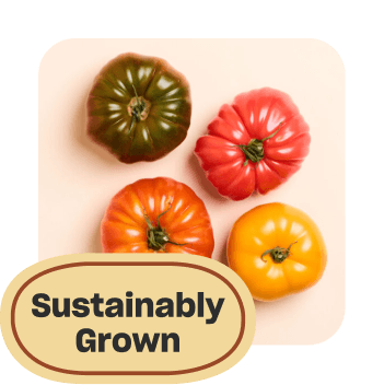 Image of heirloom tomatoes