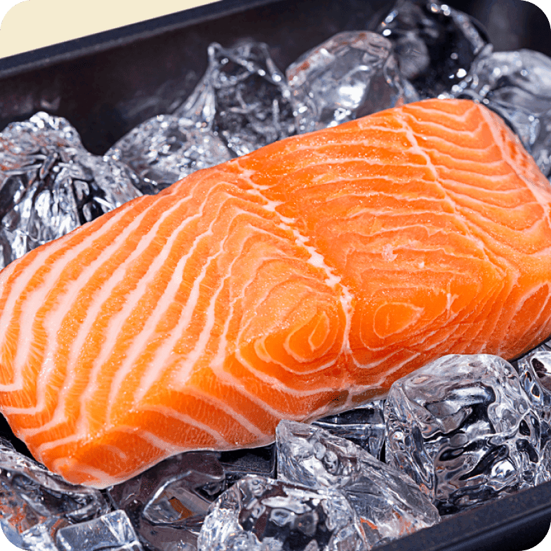 Image of salmon filet