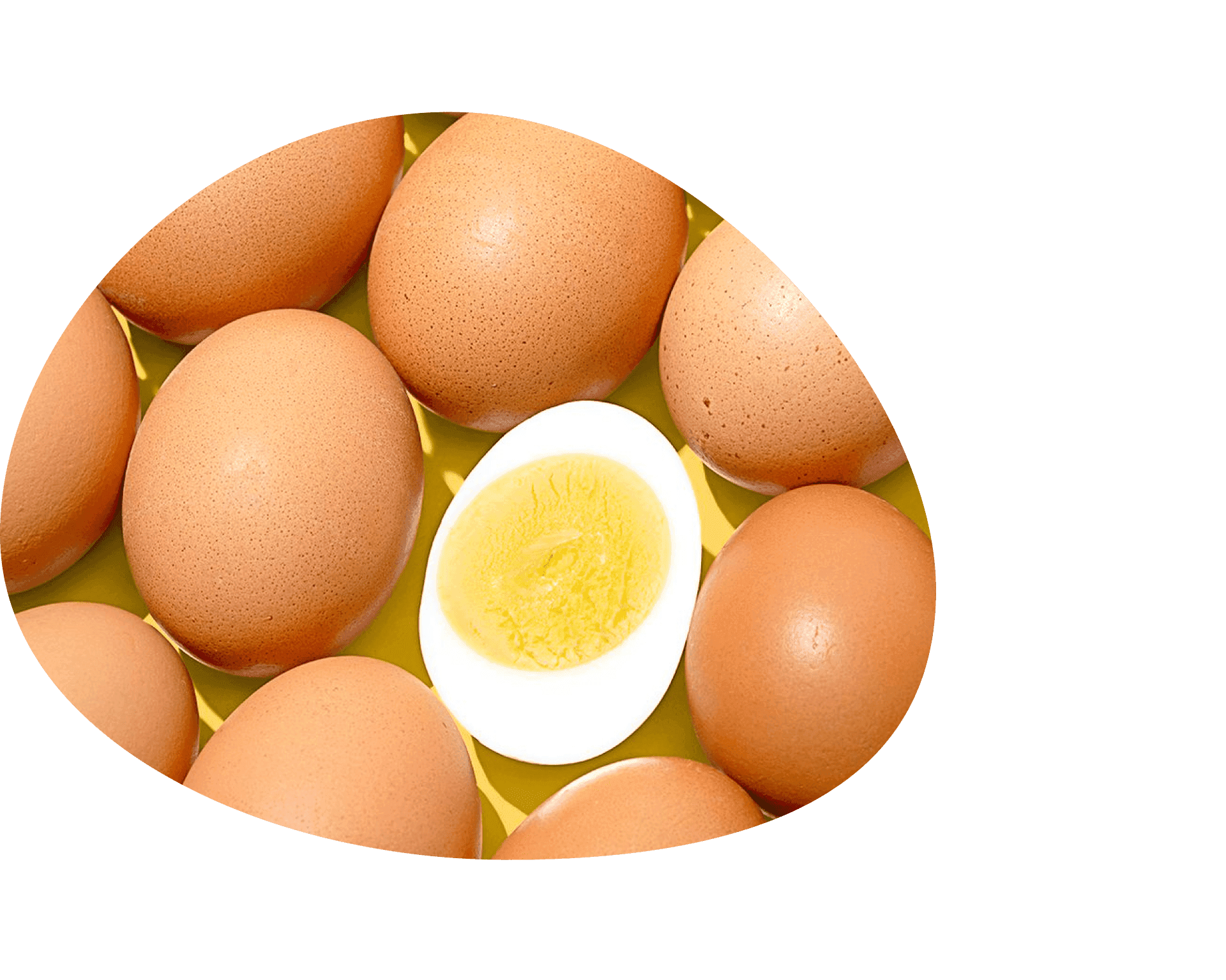 Assortment of eggs