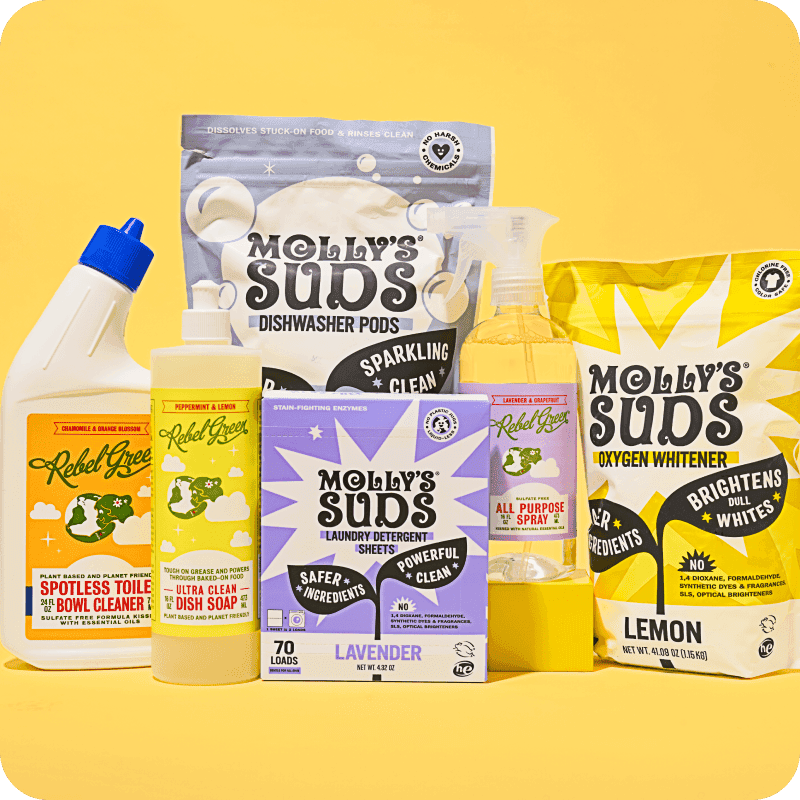 Assortment of laundry and kitchen cleaning supplies