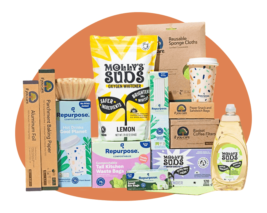 Assortment of cleaning supplies