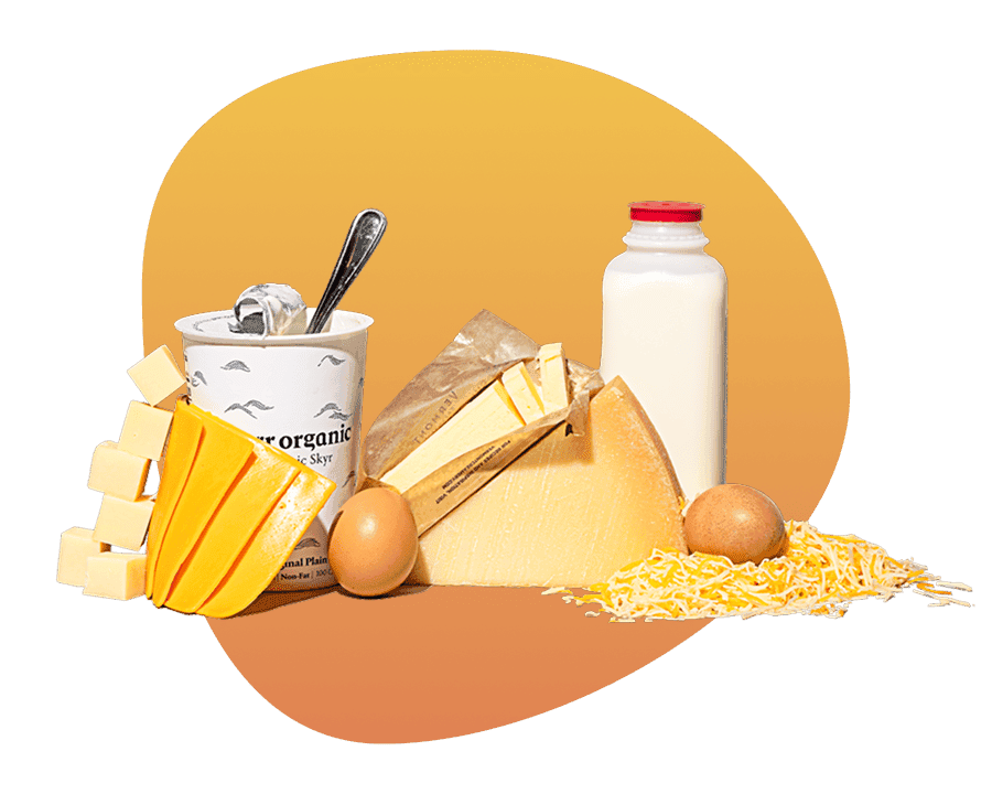 Assortment of dairy products