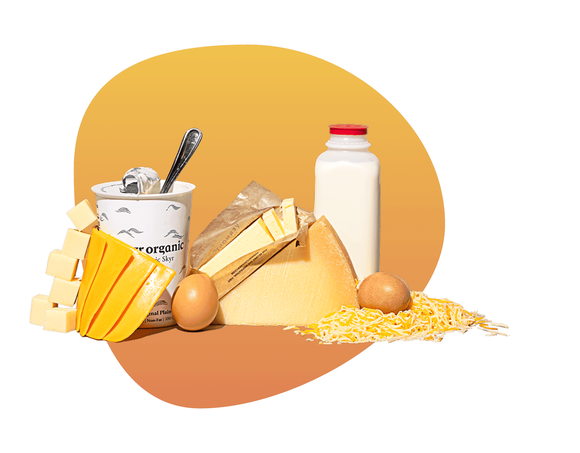 Assortment of dairy products