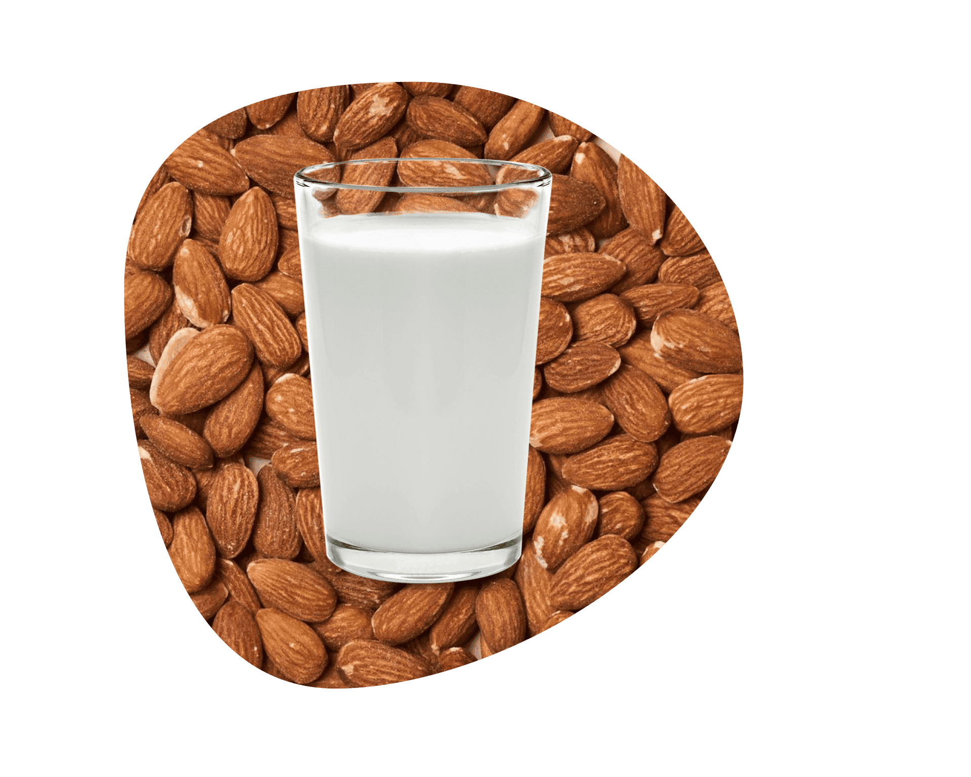 Glass of creamy organic almond milk surrounded by raw almonds, available for almond milk delivery from Misfits Market.